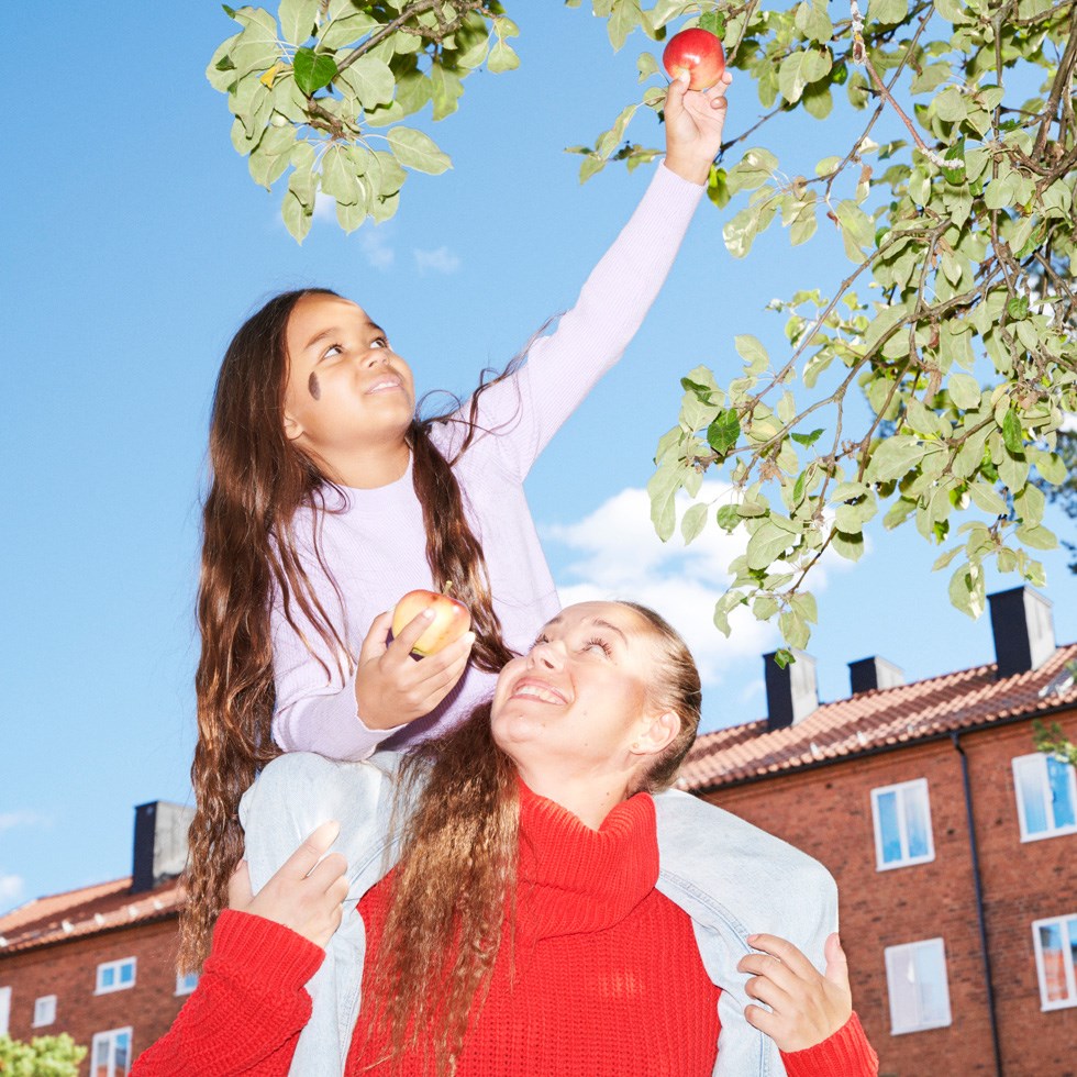 Ett barn sitter på en kvinnas axlar och plockar äpplen.